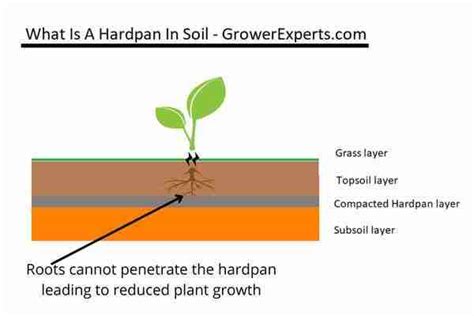 Hardpan geology. Definition of hardpan 1 : a cemented or compacted and often clayey layer in soil that is impenetrable by roots. 2 : a fundamental part : bedrock. Is hardpan the same as clay? Types of Hardpan Claypan is a layer of clay soil. Claypan sometimes forms on top of hardpan as a separate layer. 