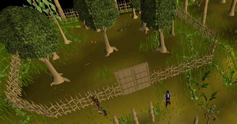 The best place in Oldschool Runescape to cut Mahogany Trees is the Ape Atoll area, after the relevant quests are completed for the rewards including a teleport to Ape Atoll, which is closer to a bank and the sawmill, and, OSRS, Mahogany Trees. For tree routes and Mahogany tree farming, Hardwood Trees are used but can still be cut down.