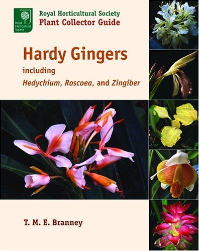 Hardy gingers including hedychium roscoea and zingiber royal horticultural society plant collector guide. - Holden gen 3 5 7 litre v8 ls1 engine workshop manual.