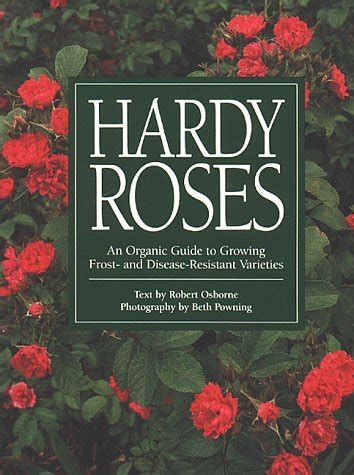Hardy roses an organic guide to growing frost and disease resistant varieties. - Complete idiot s guide to understanding catholicism.