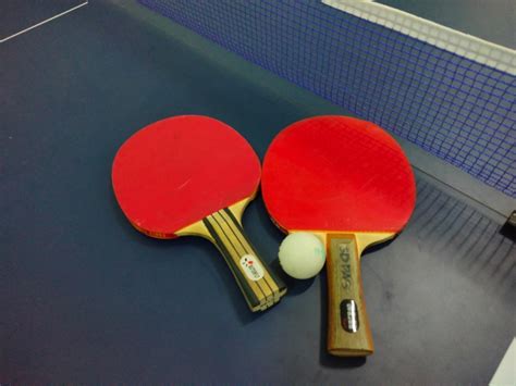 Harga Karet Bet Tenis Meja Terbaik: Panduan Utama untuk Petenis Meja