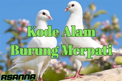 Hari ini 12 mei 2018. Kode alam burung dara.
