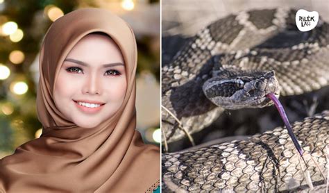 Hari ini 28 03 2022. Mimpi ada ular.