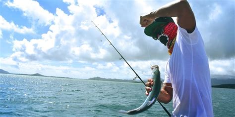 Hari ini di janji gacor. Arti mimpi mancing ikan.