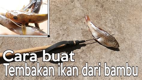 Hari ini singapura dan hongkong. Membuat tembakan ikan yang.