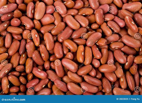 Haricots Rouges Stock Photos, Pictures & Royalty-Free …