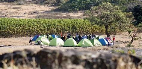 Harishchandragad Camping, Book & Save 28