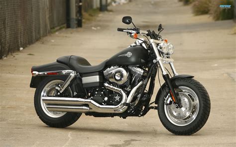 Harley davidson street bob fxdb fat bob fxdf bike manual. - Stop second guessing yourself the toddler years a field tested guide to confident parenting momma said.