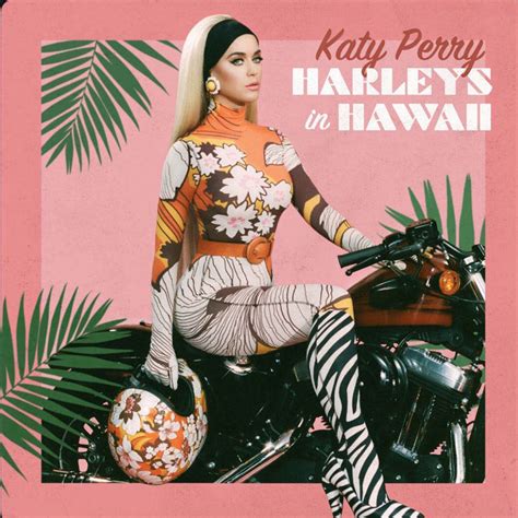 💋 Harleys.In.Hawaii Onlyfans Leak PORN