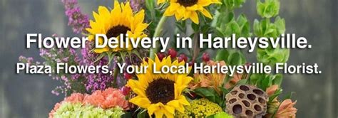 Harleysville Flower Delivery: Send Flowers to Harleysville, …