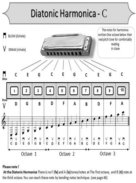 Harmonica for kids a beginner s guide with step by step instruction for diatonic harmonica hal leonard harmonica. - 1992 kawasaki ninja 250r repair manual.