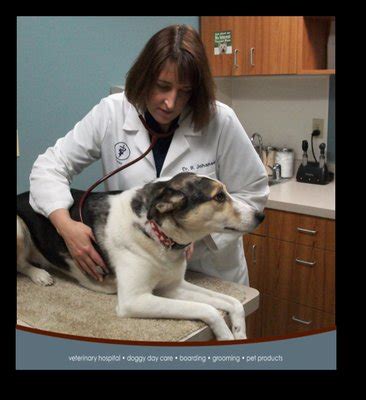 Harmony Pet Care in Waukesha, WI 53186 - Wellness