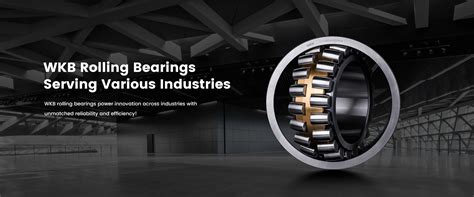 Harness the Power of Fasteddy Bearings for Unmatched Performance and Efficiency