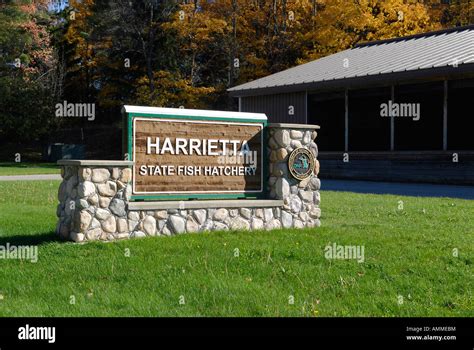 Harrietta State Fish Hatchery - Michigan