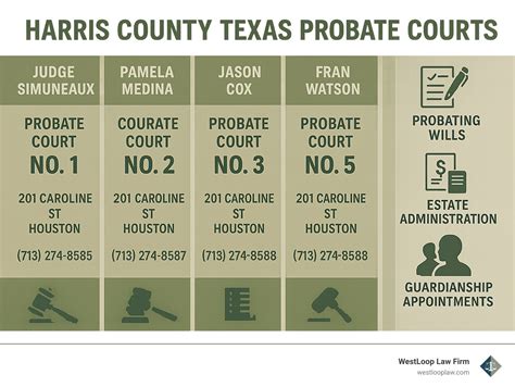 Harris county probate docket.  The Proposed Ward&rsquo;s Estate: The size and complexity of y...