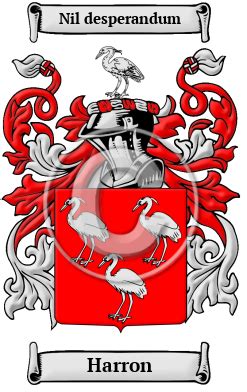 Harron History, Family Crest & Coats of Arms - HouseOfNames