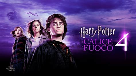 Harry potter e il calice di fuoco. - Student resource manual to accompany linear algebra theory and application.