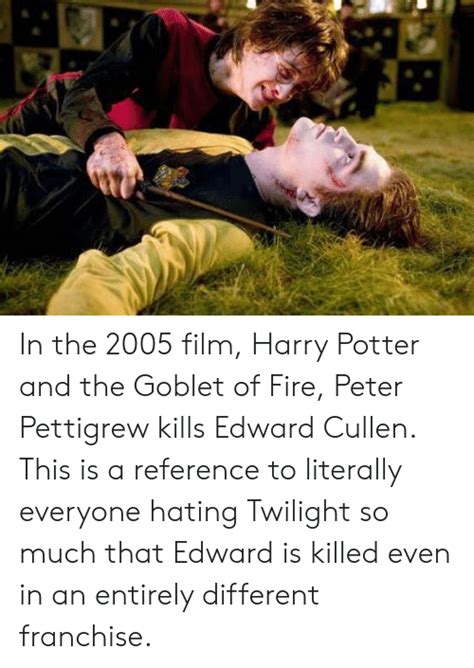 May 10, 2015 ... His name had just been called in the Goblet of Fire. He was to complete in tasks that could possibly cause his death but he just didn't care.