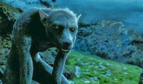 Werewolf Remus Lupin. Marauders Friendship (Harry
