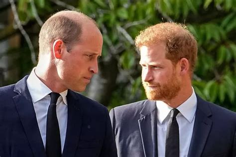 Harry takes swipe at William