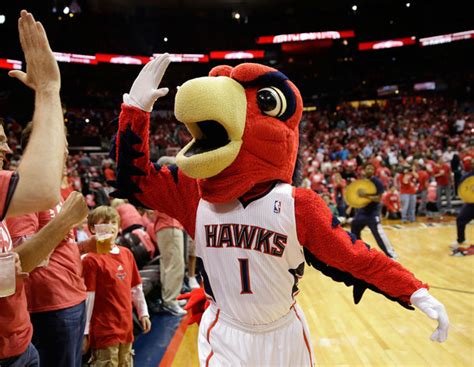 Harry the Hawk (Atlanta Hawks) - SportsMascots Wikia