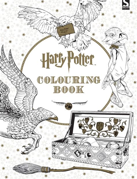 Read Online Harry Potter Coloring Book By Scholastic Inc