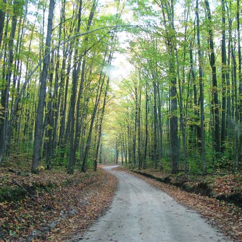 Hartwick Pines State Park - Grayling, Michigan - RV LIFE