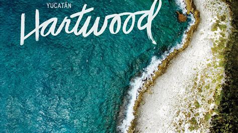 Read Hartwood Bright Wild Flavors From The Edge Of The Yucatn By Eric Werner