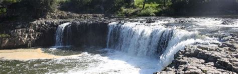 Haruru Falls Walk Paihia Walking Tracks - Bay of Islands