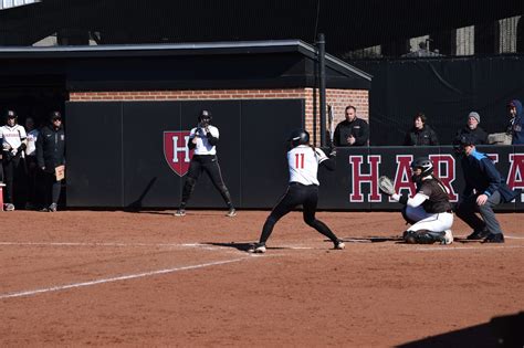 Harvard Softball Batters Brown Bears, Dials in for Midseason …