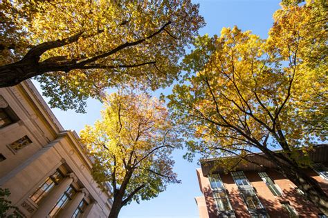 Harvard law waitlist 2022.  Our expectations for waitlist movement com...