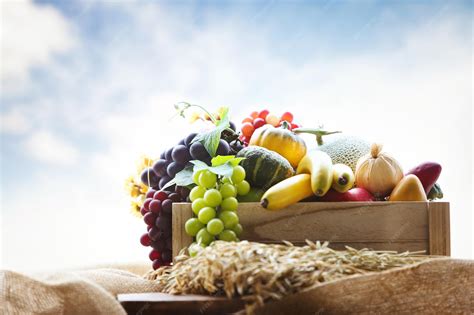 Read Harvest