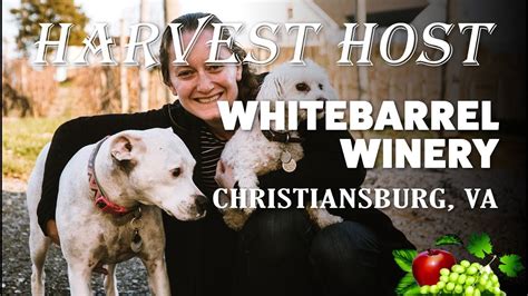 Harvest Host Free Camping at Whitebarrel Winery in Virginia