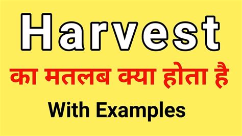 Harvest Meaning In Hindi - Harvest Definition English To Hindi