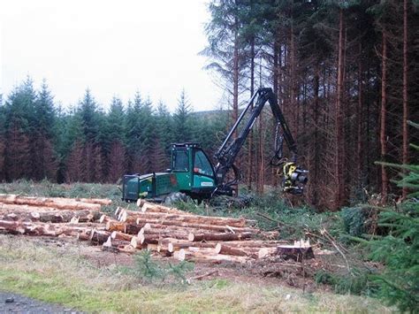 Harvesting - Forestry Focus