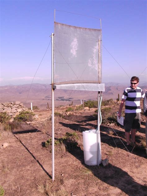 Harvesting the clouds: how to make water out of fog