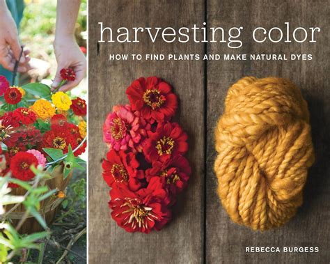 Read Harvesting Color How To Find Plants And Make Natural Dyes By Rebecca  Burgess