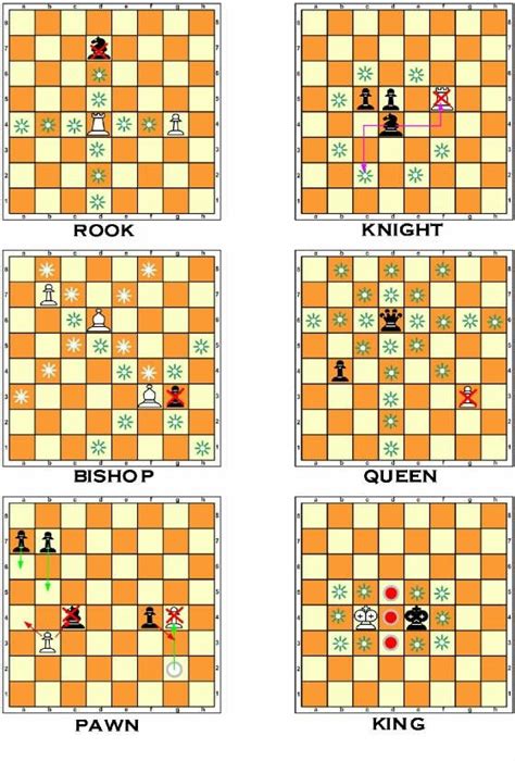 Has every possible move been played during a game of chess?