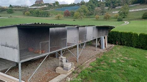 Hasenställe, Kaninchenställe & Kleintierställe zooplus.ch