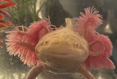 Hashermoney Leaks PORN 🍆 147 Photos