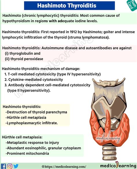 Hashimoto tiroiditi belirtileri