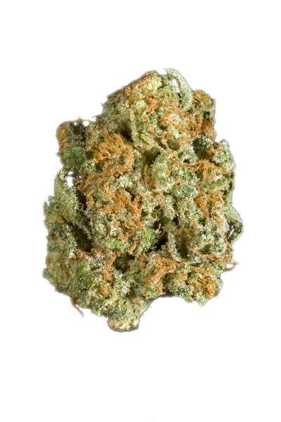 Hashplant Haze Strain Cannabis Wiki