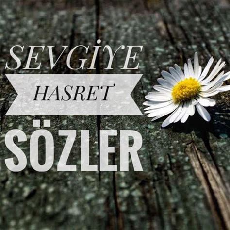 veodersti.rgarabwor.edu.pl. 