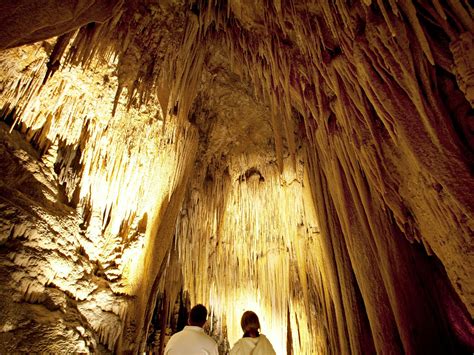 Hastings Caves and Thermal Springs - Hobart and Beyond