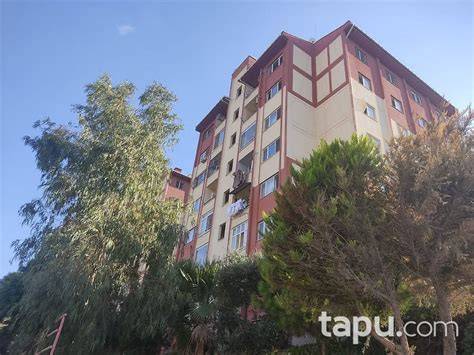Hatay Belen Issume Mahallesi terapi halı yıkama