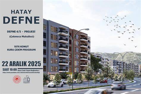 Hatay Defne Dover Mahallesi terapi halı yıkama