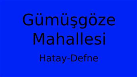 Hatay Defne Gumusgoze Mahallesi terapi halı yıkama