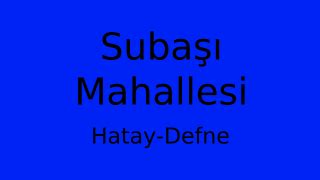 Hatay Defne Subasi Mahallesi terapi halı yıkama