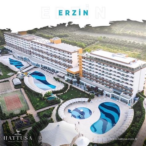Hatay Erzin terapi halı yıkama