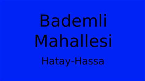 Hatay Hassa Bademli Mahallesi terapi halı yıkama